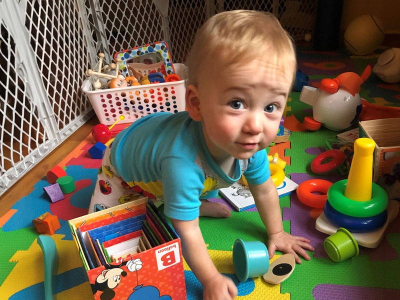 A young child crawling around in a play pen.